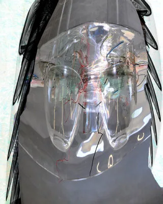 1b
